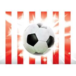Voetbal behang Blauw Wit, Voetbalkamer, *Muurdeco4kids