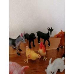Boerderijdieren groot, paard, hond, geit, ezel, kip, konijn,