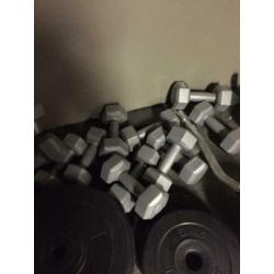 Gewichten/dumbels 1kilo