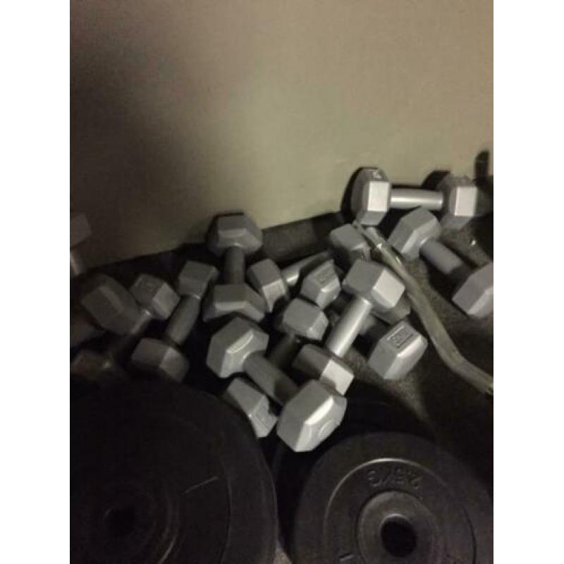 Gewichten/dumbels 1kilo