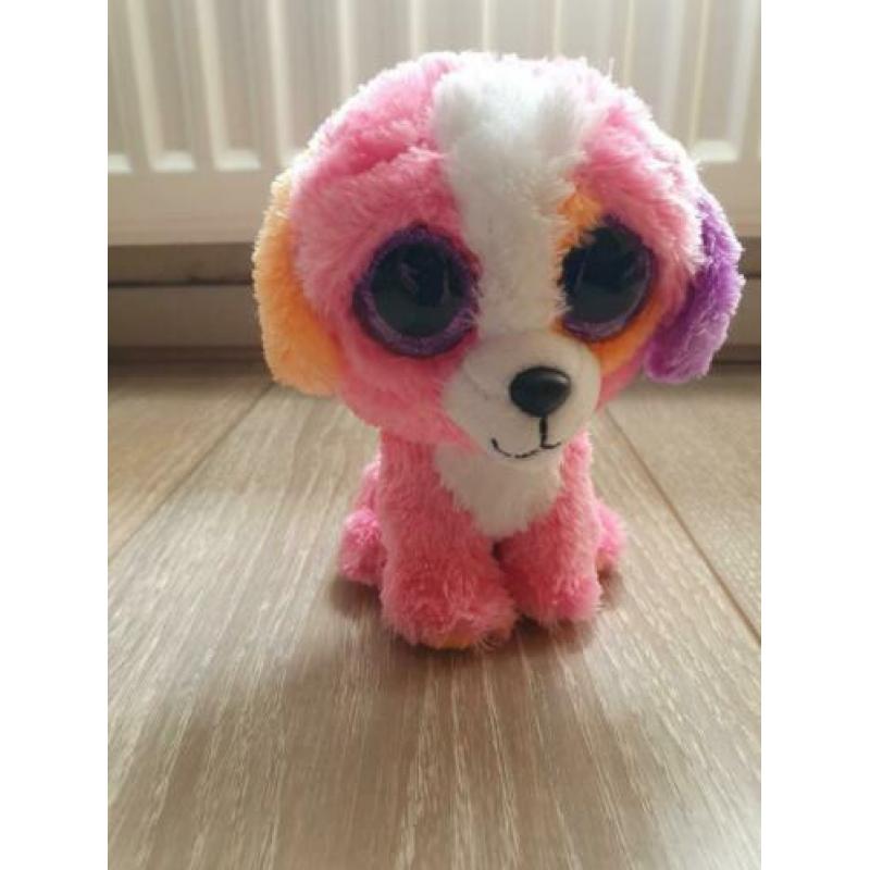TY Beanie Boo, Ty knuffel 15cm hond Precious