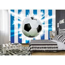 Voetbal behang Blauw Wit, Voetbalkamer, *Muurdeco4kids