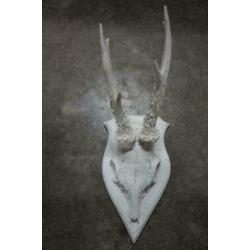 ree schedel wit van polystone