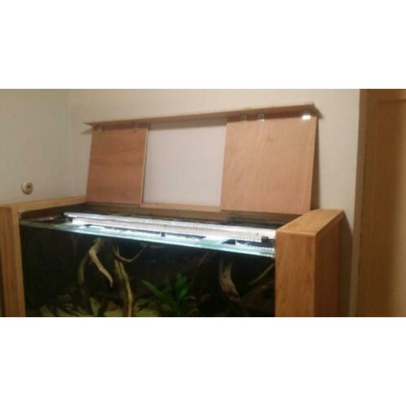 aquarium 170-60-60