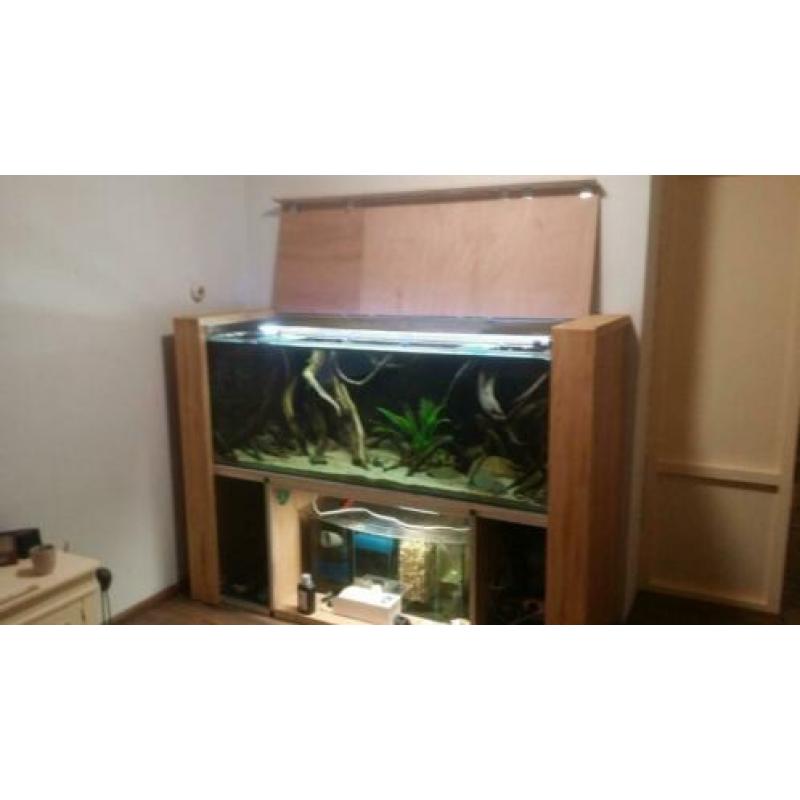 aquarium 170-60-60