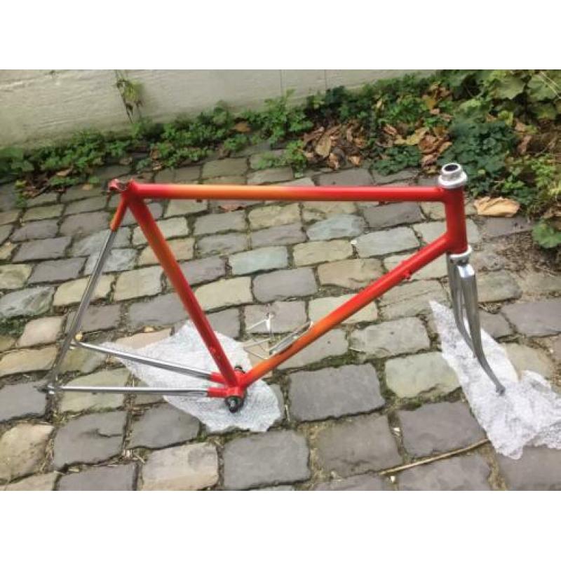 Lugloos licht retro racefiets frame: hoge kwaliteit, 56.5 ct