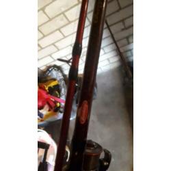 albatros berkley shimano