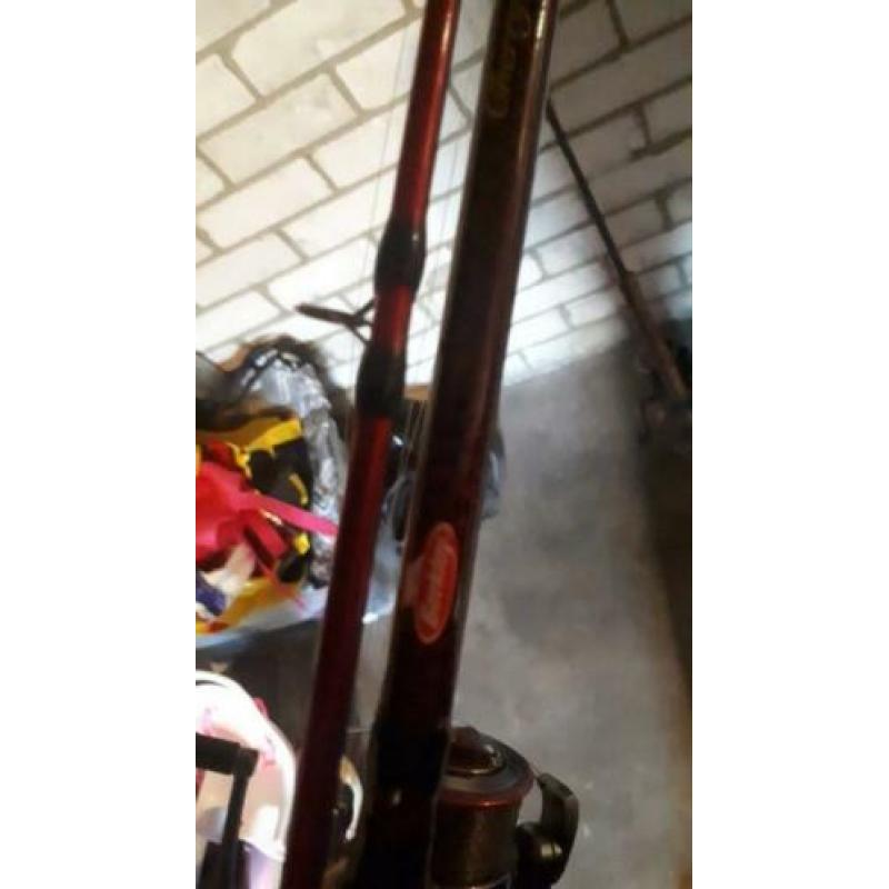 albatros berkley shimano