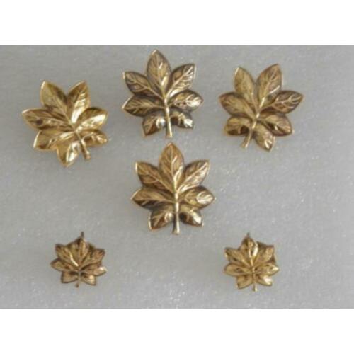Oak leaf clustersmajor(rank insignia)usmc-us marine korps