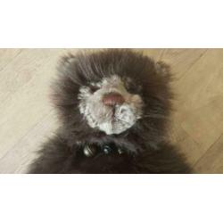 Charlie bears Lancelot, 56 cm grote charlie bear