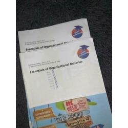 zgan essentials of organizational behavior