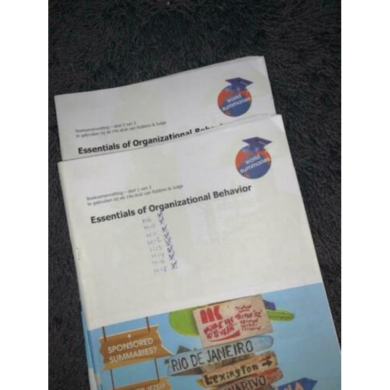 zgan essentials of organizational behavior