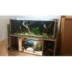 aquarium 170-60-60
