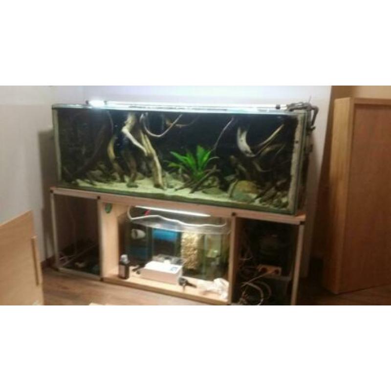 aquarium 170-60-60
