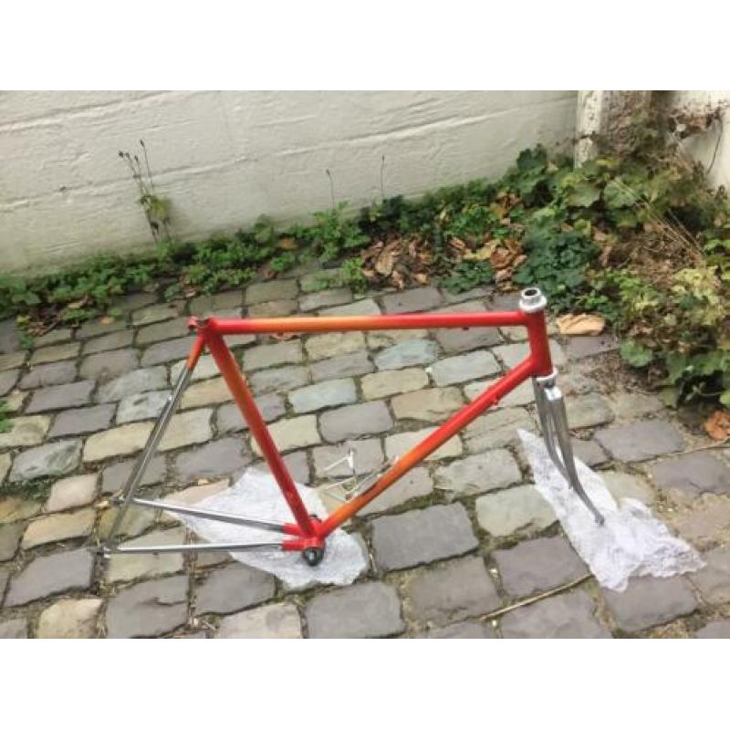 Lugloos licht retro racefiets frame: hoge kwaliteit, 56.5 ct