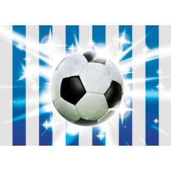 Voetbal behang Blauw Wit, Voetbalkamer, *Muurdeco4kids