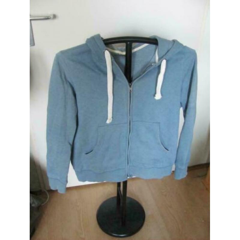 3 leuke vesten van de hema licht,donker blauw en bordeaux XL