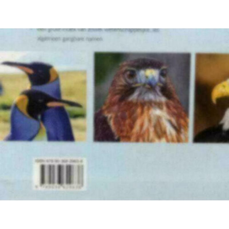 Vogel encyclopedie