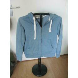 3 leuke vesten van de hema licht,donker blauw en bordeaux XL