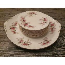 Lavender Rose royal Albert