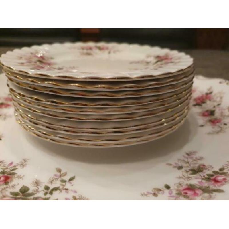 Lavender Rose royal Albert