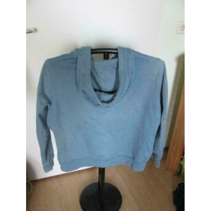 3 leuke vesten van de hema licht,donker blauw en bordeaux XL