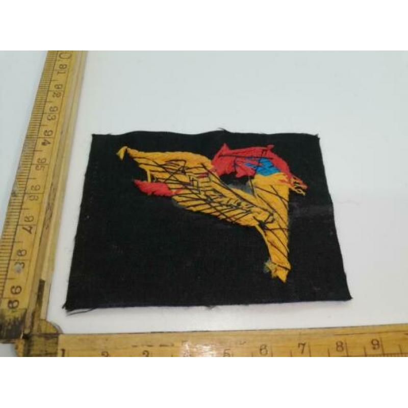 US Patthfinder Sleeve Patch