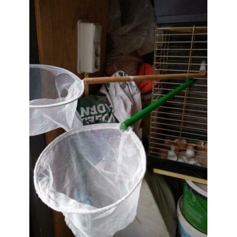 3 vogels vangnetten te koop