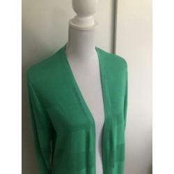NIEUW groen vest