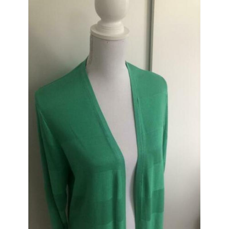 NIEUW groen vest