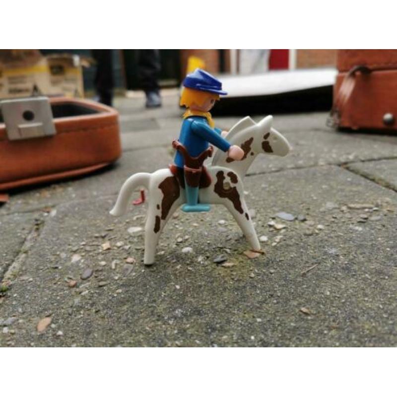 Van allerlij soorten Playmobil
