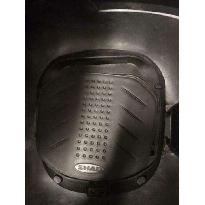 Scooterkoffer/buddyshad