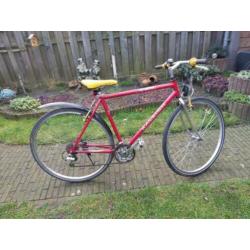 City bike Merk raleigh
