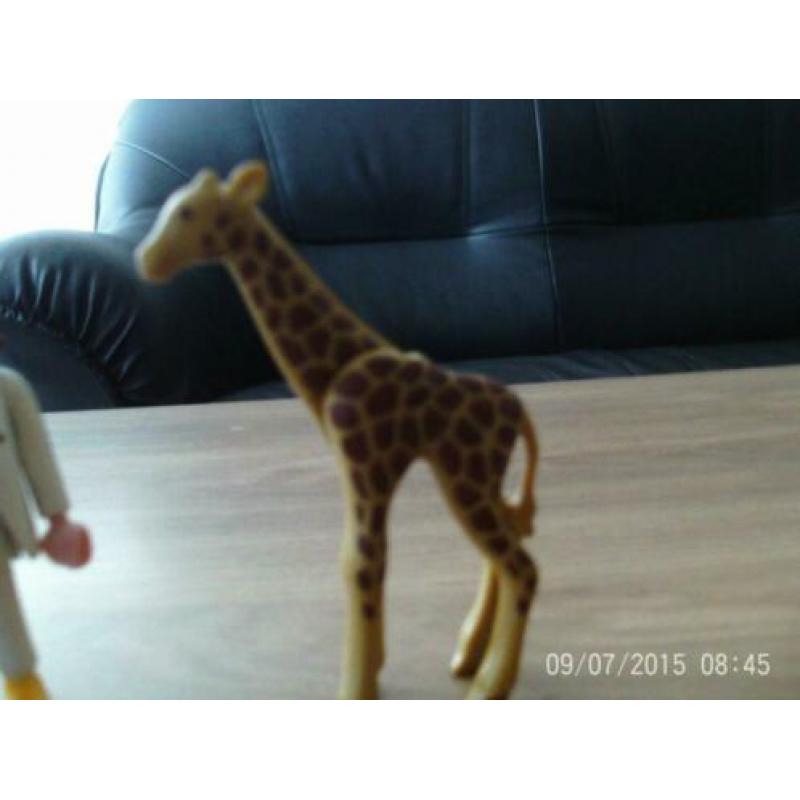 playmobil dierenarts met babygiraf
