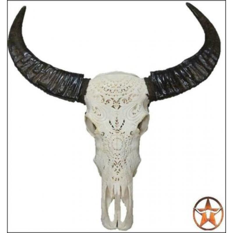 schedel, longhorn, insecten,vachten, decoratie & meubels