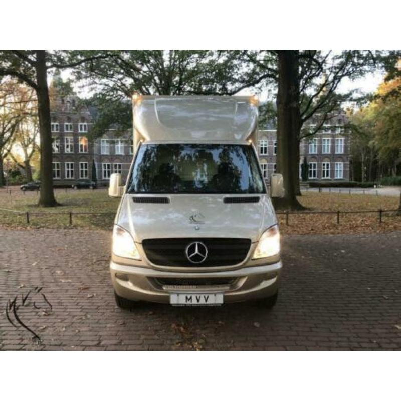 Paardenwagen- paardenvrachtwagen Mercedes