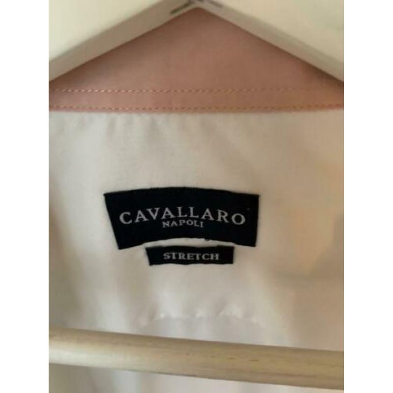 Cavallaro Napoli blouse vrouw maat 38