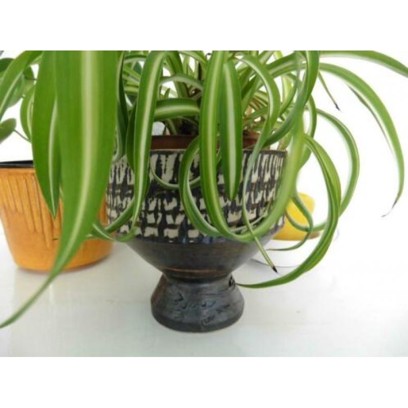 Bloempot groen retro vintage jaren 70 berkenbarst boomschors