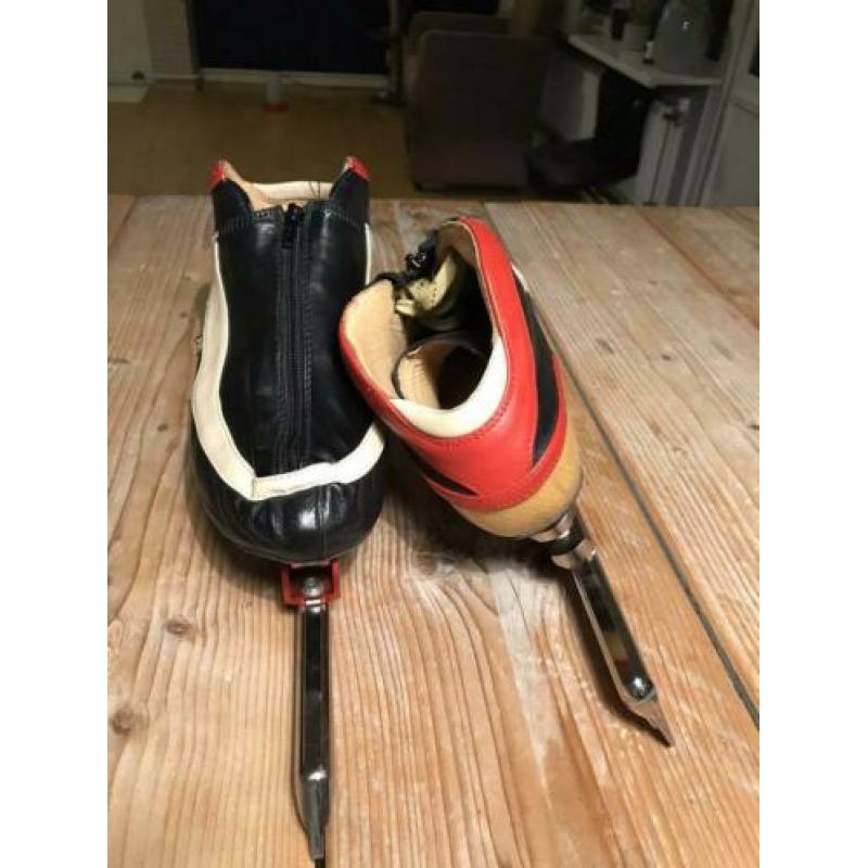 Viking nagano gold (xbr)