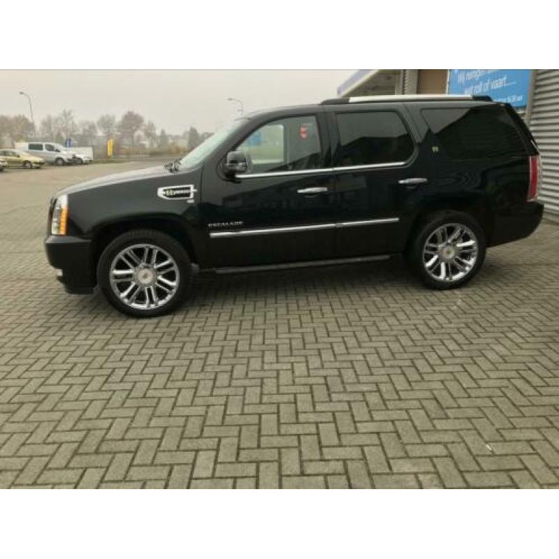 Cadillac Escalade 6.0 Hybrid 2012 Zwart