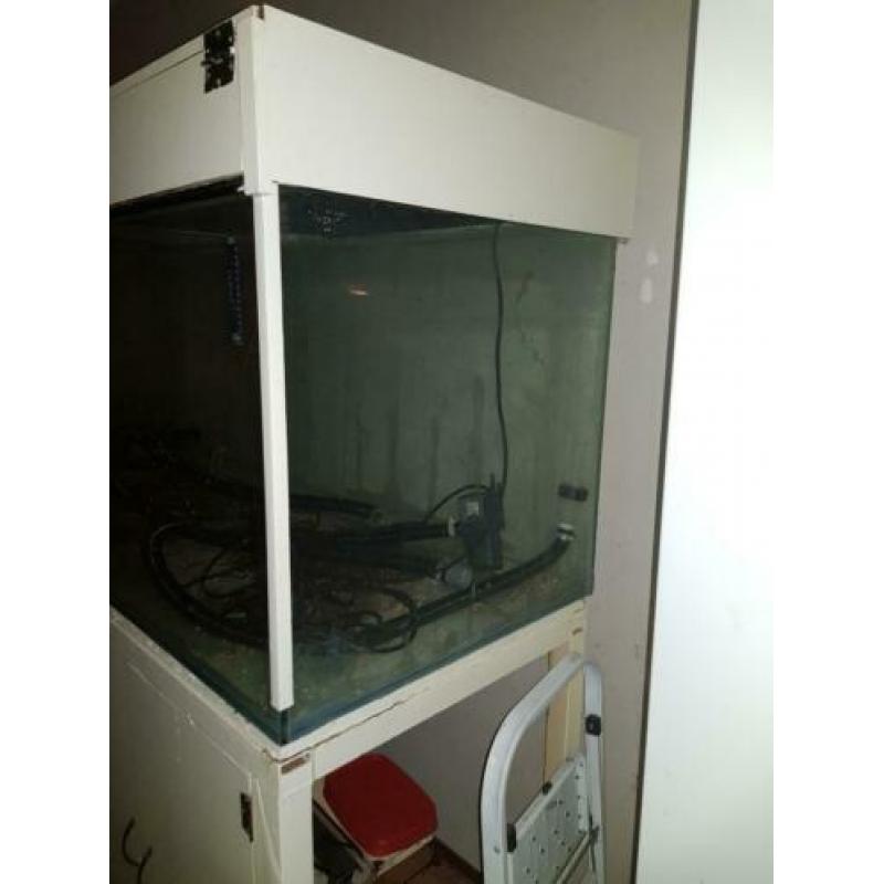 Aquarium 300×70×70