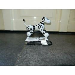 Zoomer dalmatier