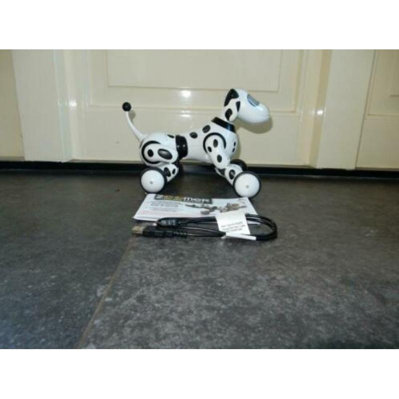 Zoomer dalmatier