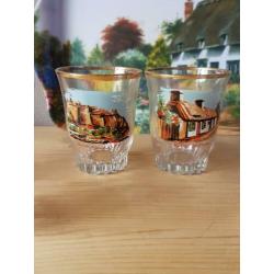 6 Borrelglaasjes met klein bijpassend dien blaadje 14 x 20