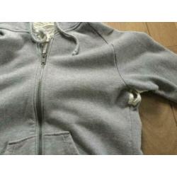 2 mooie DENHAM vesten hoodies, grijs, duur merk,large
