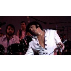 Elvis Presley DVDConcha Time!