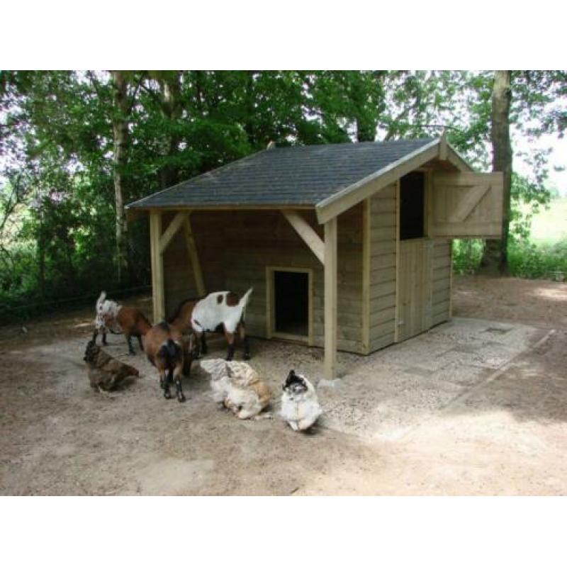 Schapen-Geitenhok ( All- inn geplaatst )