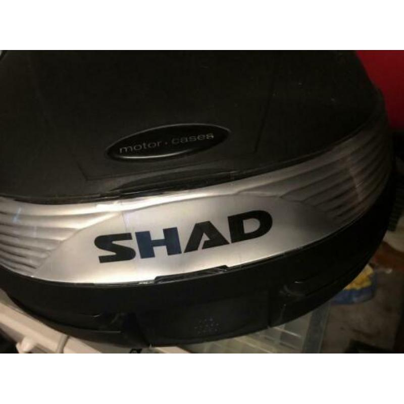 Scooterkoffer/buddyshad