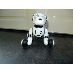 Zoomer dalmatier