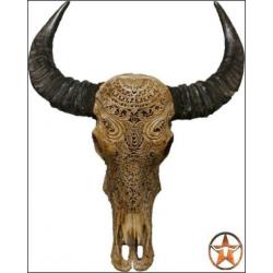 schedel, longhorn, insecten,vachten, decoratie & meubels